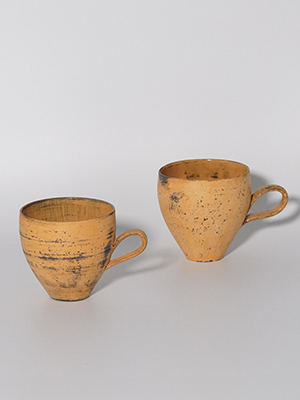 VNƂMug cup 